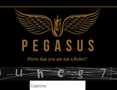 Pegasus Darknet Market