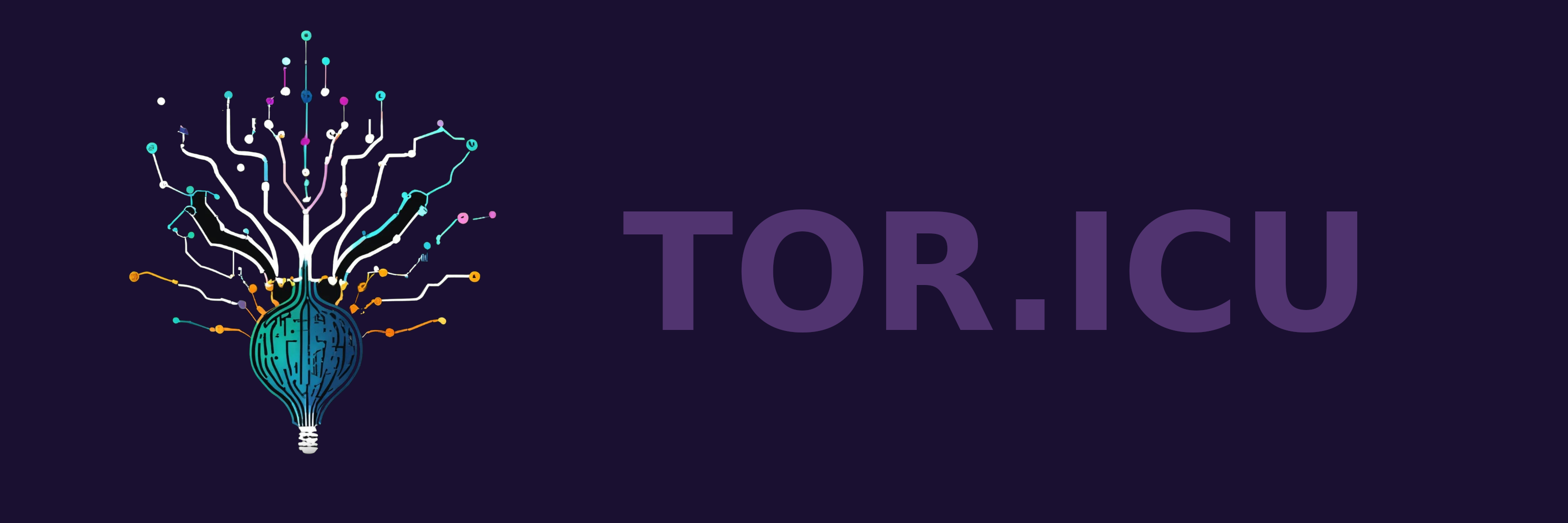 Tor.Icu Logo